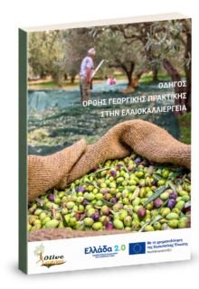olive_practices_front