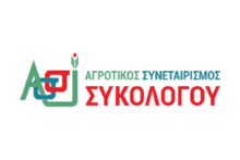 sikologos650x650
